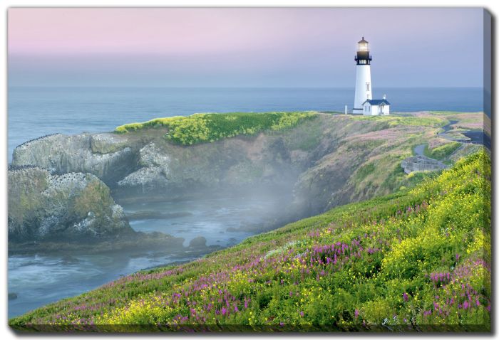 Lighthouse Coast