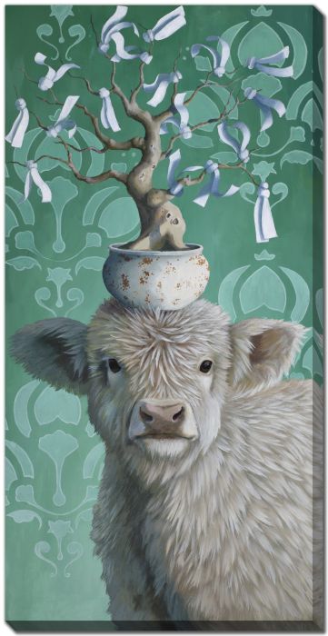 Highland Calf