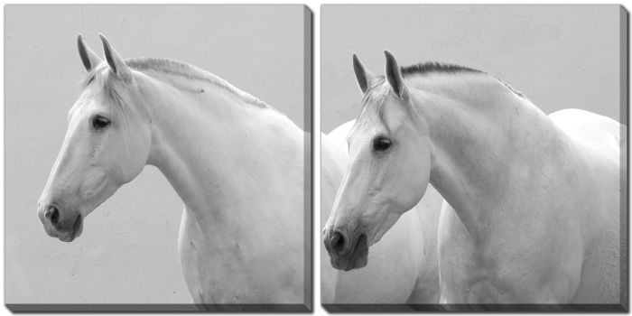 White Horses