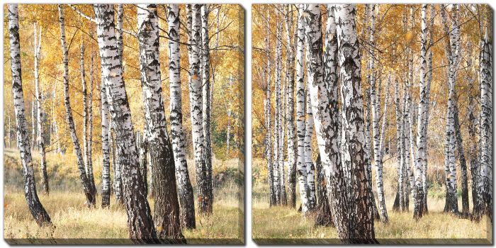 Yellow Autumn