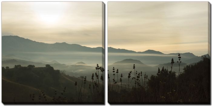 Fog in the Mountains