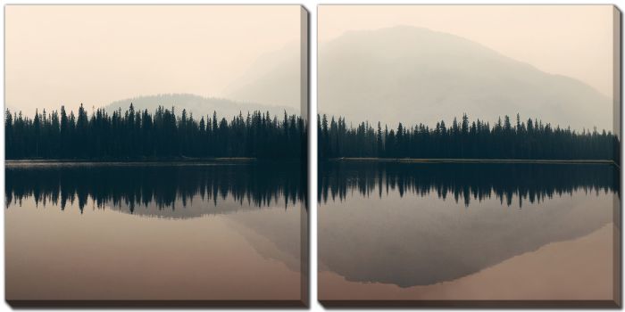 Mountain And Forest Reflections