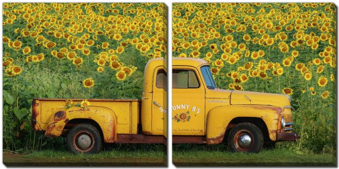 Yellow Vintage Sunflower Truck