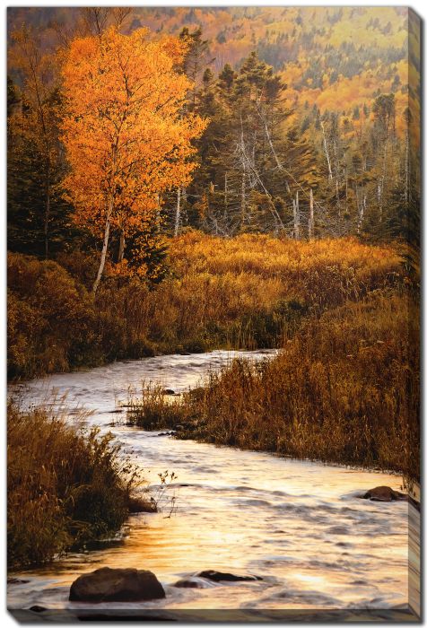 Birch River Hillside Colour