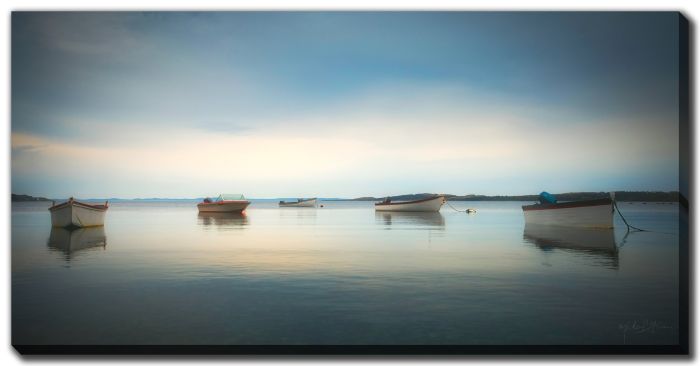 Five Skiffs Calm Harbour