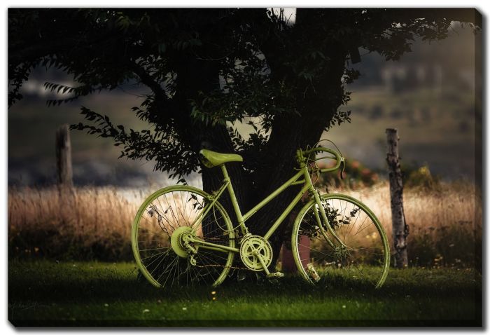 Green Tree Green Bike Green Grass