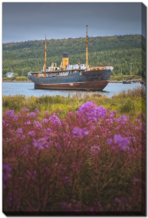 Wreck Harbour Ship Aground 2