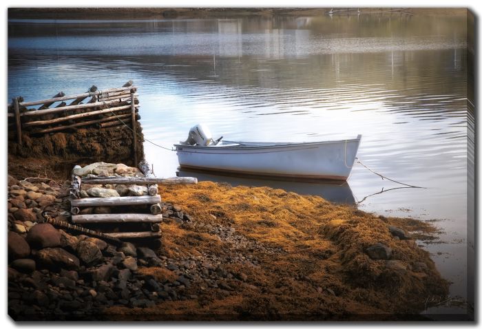 Anchor Seaweed Low Tide Boat
