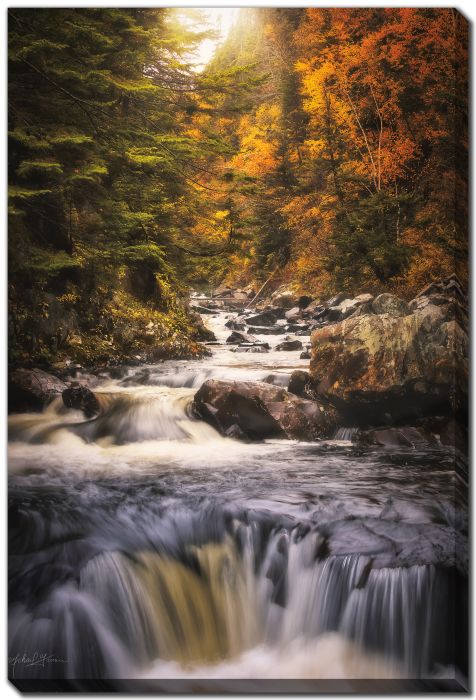Slendor Fall Creek
