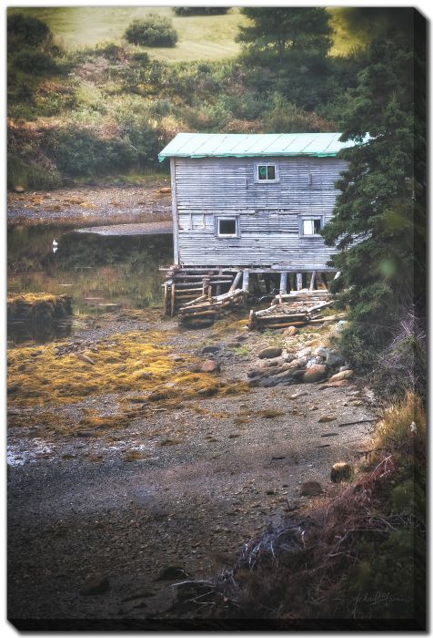 Small Brown Chimney Hills Harbour 2