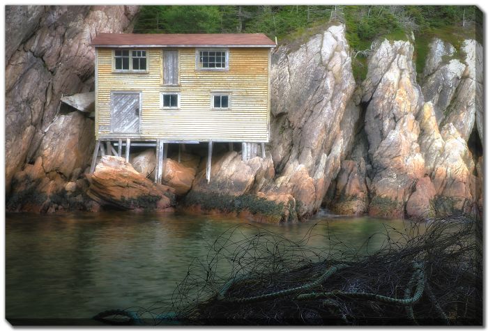 Net Cliff Stage 