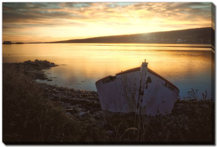 Sunrise Harbour Boat 