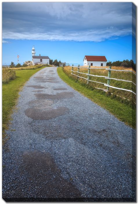 Lighthouse Road 