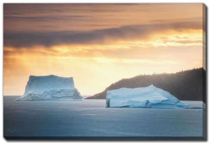 Twillingate Iceberg 7