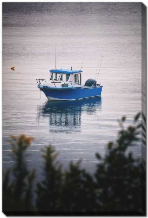 Shrubs Boat 