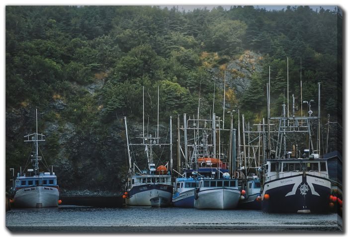Little Boat Harbour (Trout River)