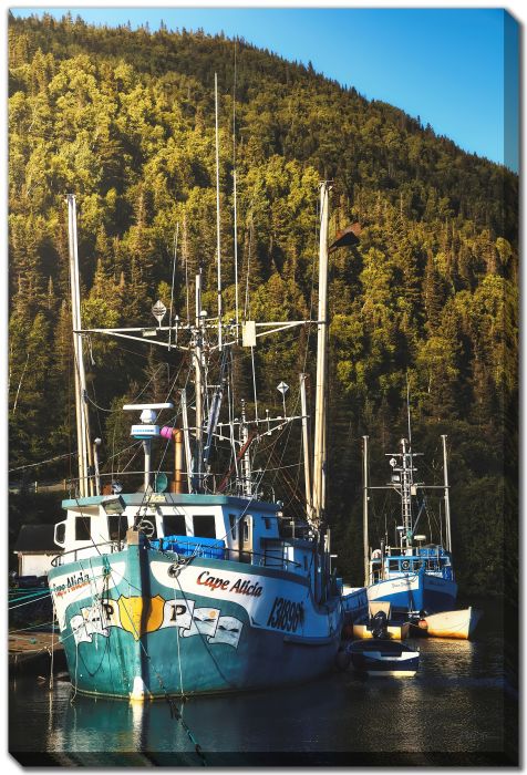 Tide Dock Boats (Jackson's Arm)
