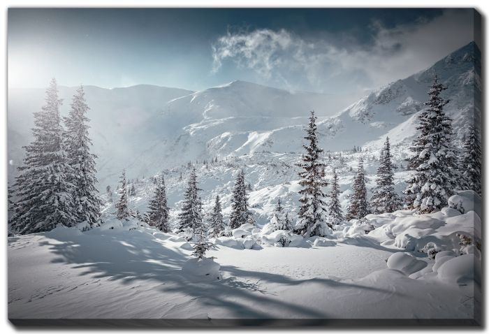 Snow Capped