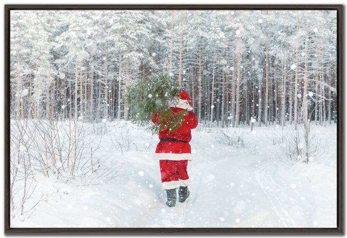 Santa's Christmas Tree Hunt