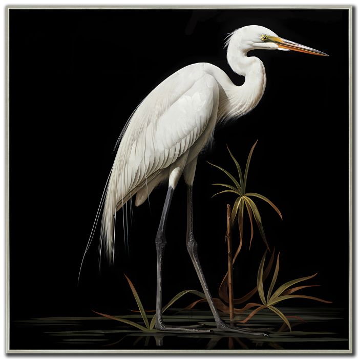 Midnight Heron I