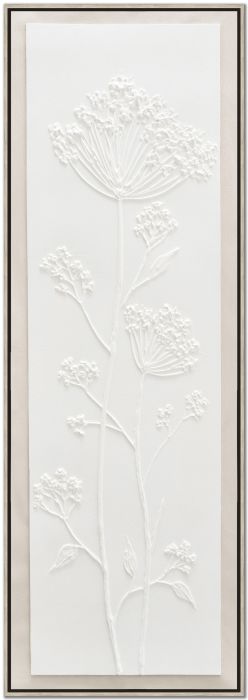 White Flora II