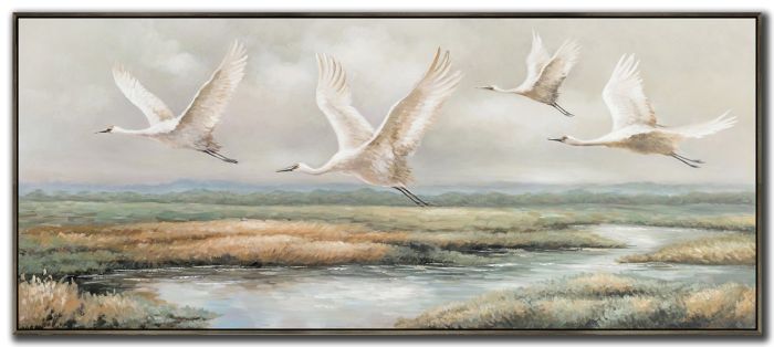 Migration