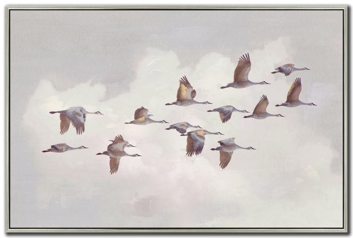 Silent Soar