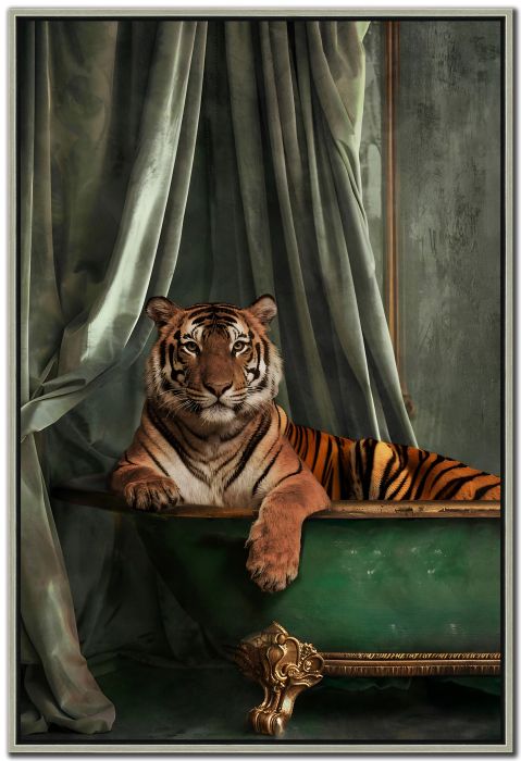 Velvet Watcher
