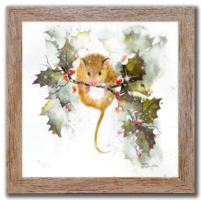 Cozy Critter