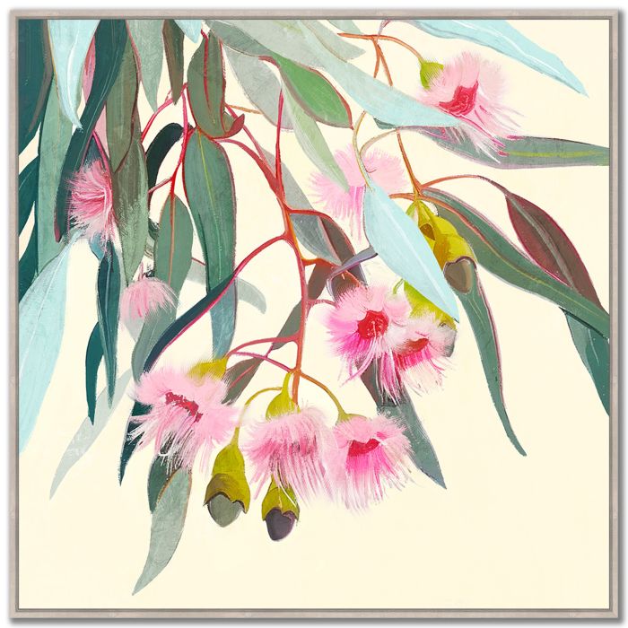 Eucalyptus Dream