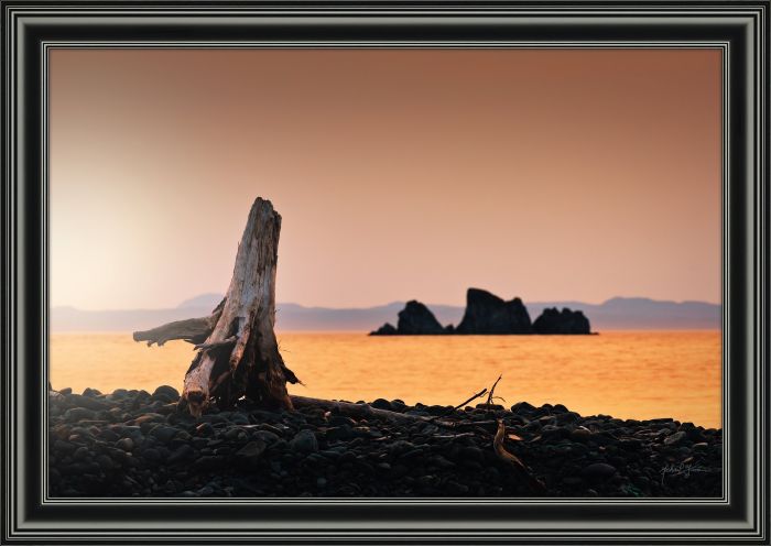 Driftwood Rock Beach Sunset