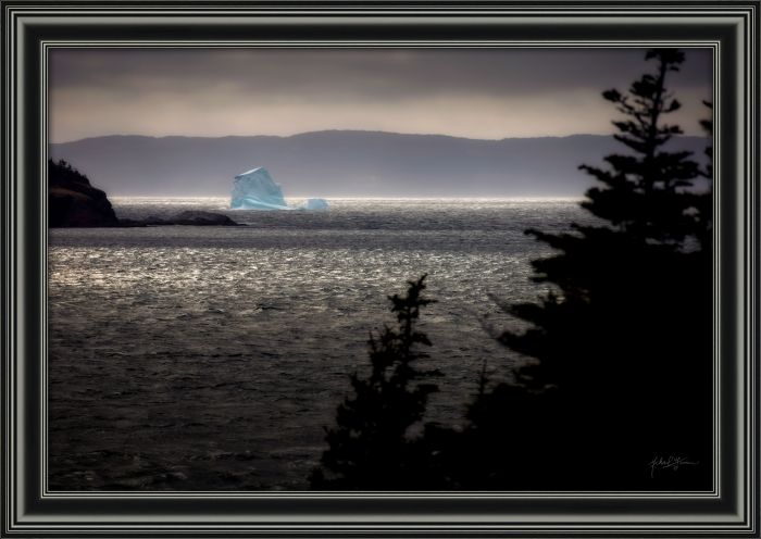 Tree Shadow Blue Iceberg