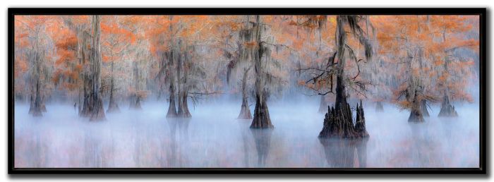 Caddo Lake
