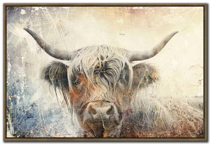 Cow Highland Illustration 01