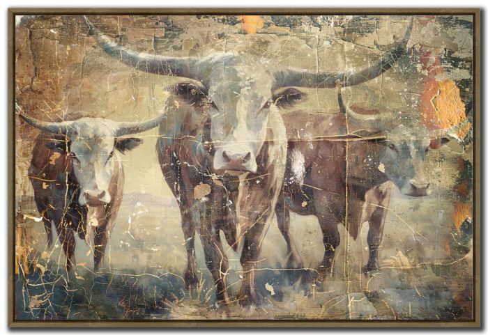 Longhorn Vintage Illustration