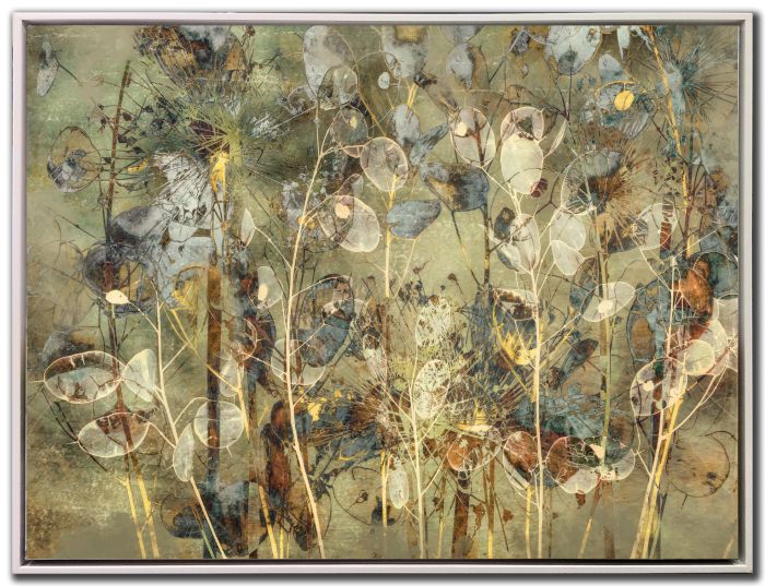 Impression of Seeds