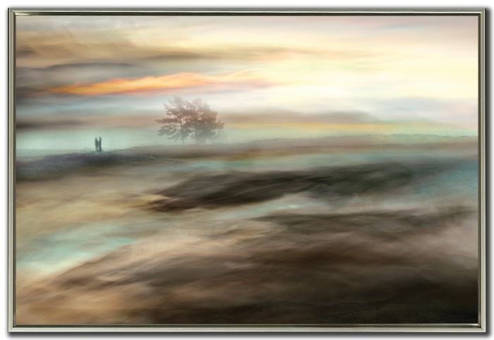 Solitude In The Mist