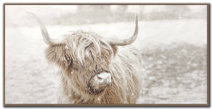 Snowy Highland