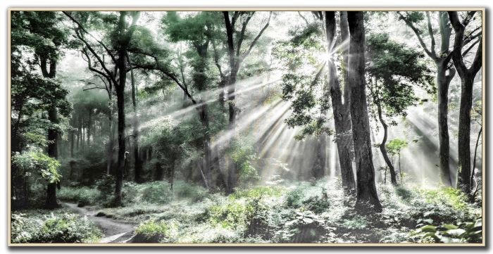 Morning Reverence