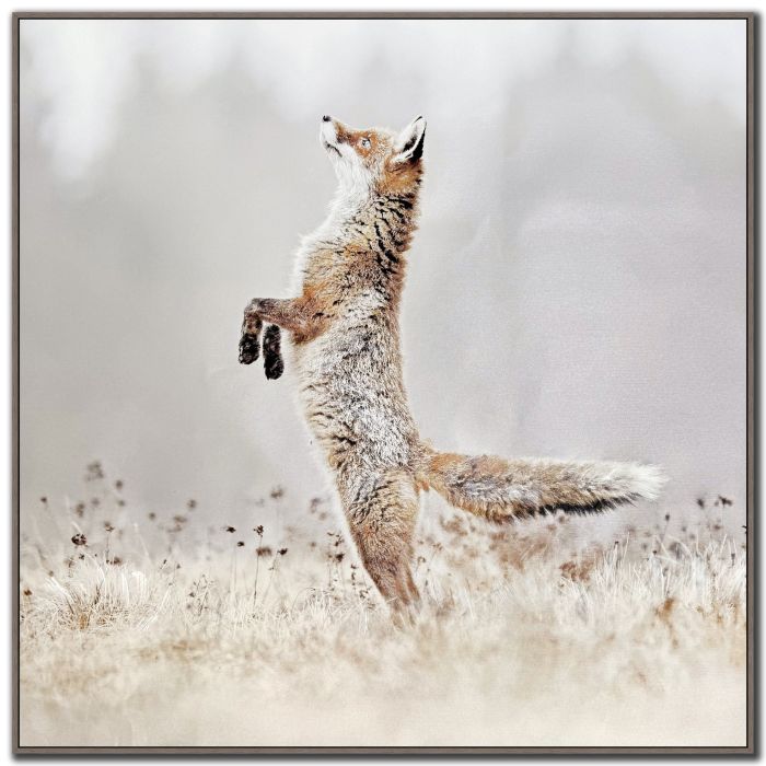 Playful Hunter