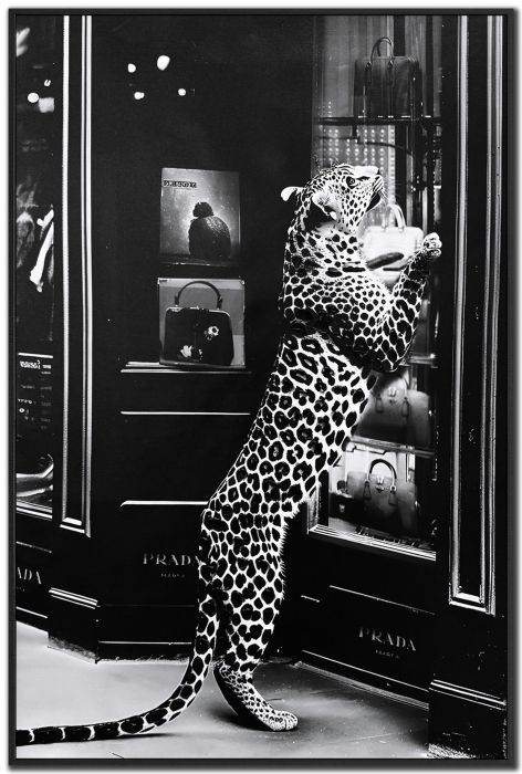 Luxury Hunt I