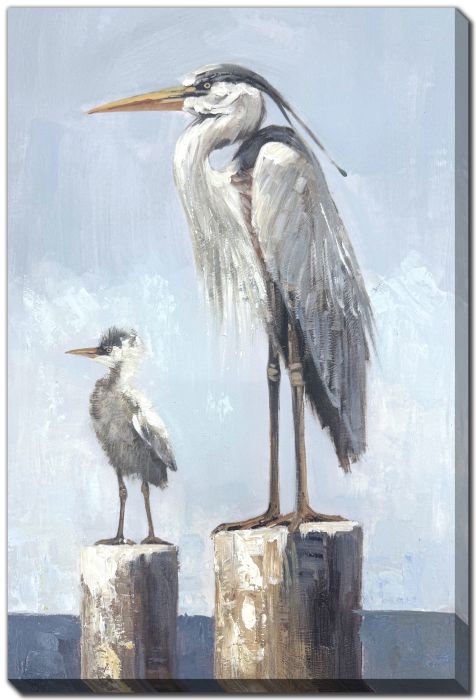 Harbor Watch