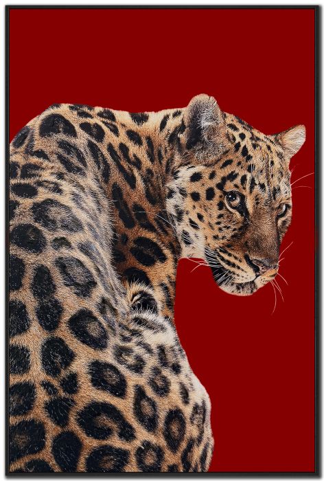 Wild Luxe I