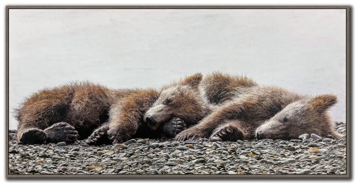 Cozy Slumber