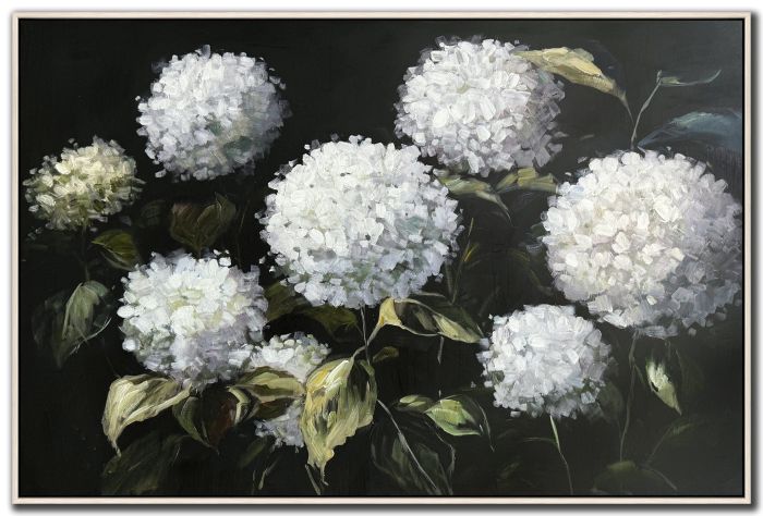 Midnight Hydrangeas