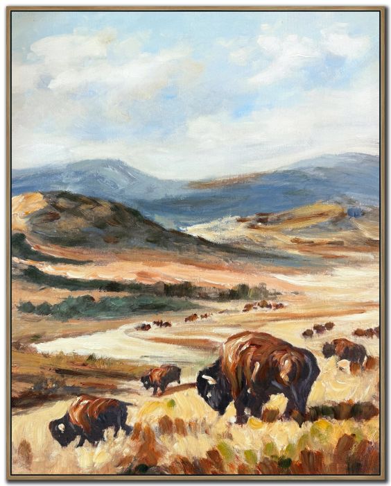 Bison Valley I