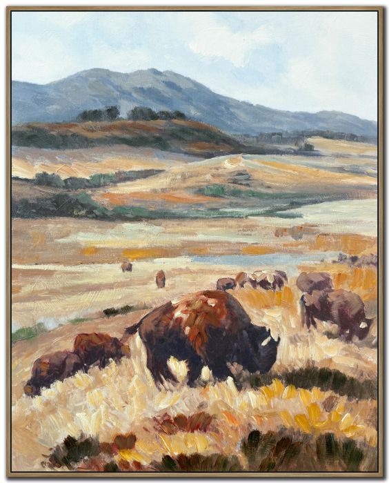Bison Valley II