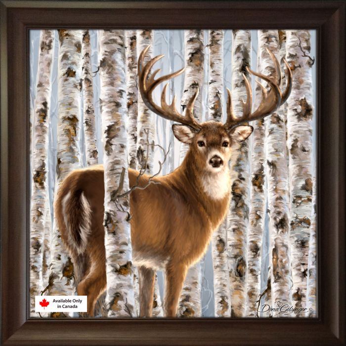 Birch Whitetail