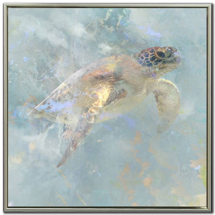 Oceanic Turtle I