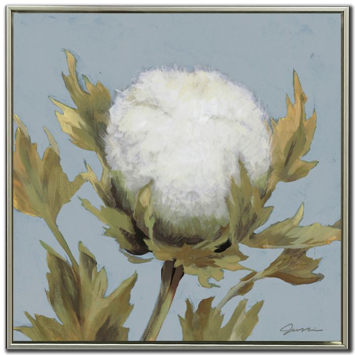 Cotton Balls I